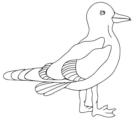 Seagull Coloring Page