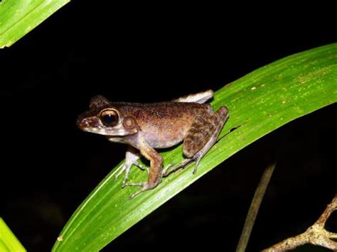 Sarawak rainforest cycling tour, Borneo | Responsible Travel