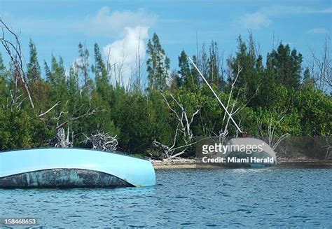 57 Wisteria Island Stock Photos, High-Res Pictures, and Images - Getty Images