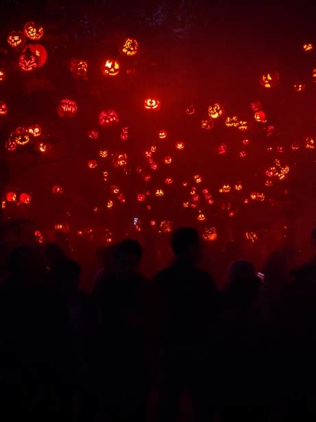 Halloween Jack O'Lanterns Free Stock Photo - Public Domain Pictures
