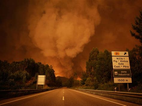 Images from Portugal show aftermath of deadly wildfire that killed 61 ...