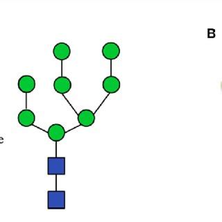 | (A) The dolichol-linked oligosaccharide (DLO) biosynthesis pathway ...