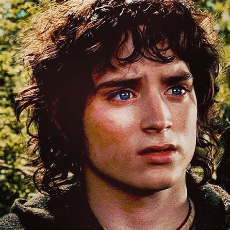 317 best Frodo Baggins images on Pinterest | Frodo baggins, Middle earth and Elijah wood