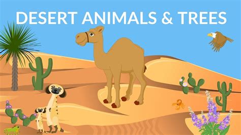 Desert Animals and Plants | Desert Ecosystem | Desert Video for kids - YouTube