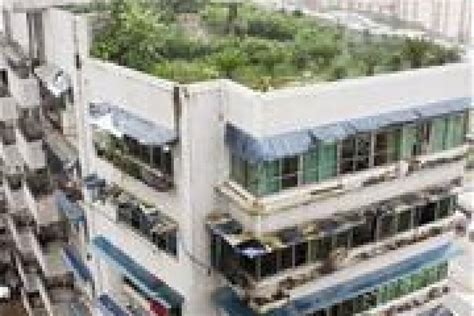 'Most awesome rooftop garden' is latest bizarre structure in China ...