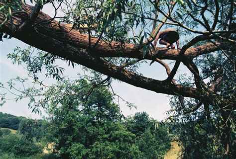 Why Kids Need to Climb Trees