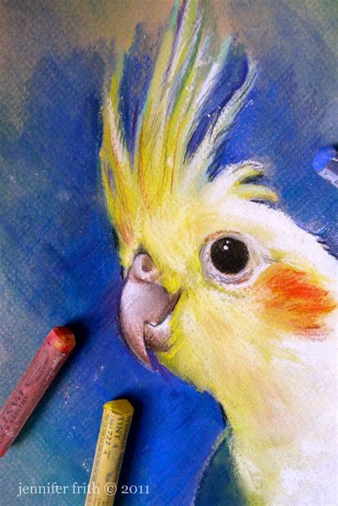 Jenny's Sketchbook: Pet Portrait Info | Desenho de aves, Arte sobre animais selvagens, Desenhos ...