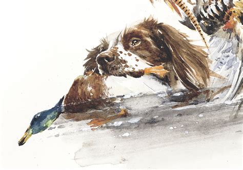 Hunting With English Springer Spaniel Signed Print - Etsy