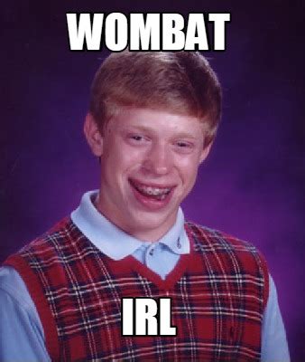 Meme Creator - Funny Wombat IRL Meme Generator at MemeCreator.org!