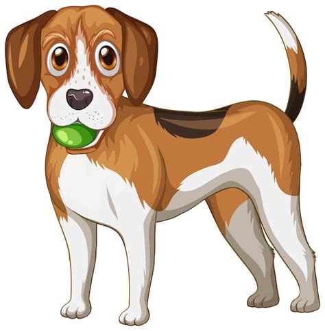 Free Vector | Beagle dog cartoon on white background