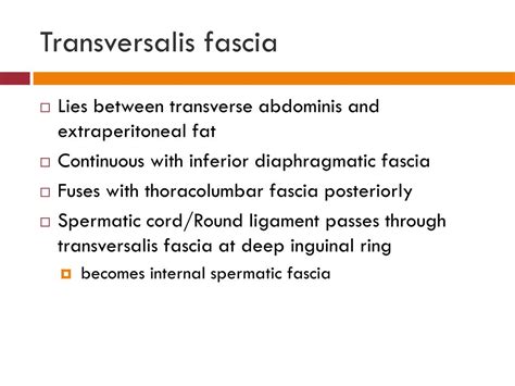 PPT - Fascia of the Abdomen PowerPoint Presentation, free download - ID:1978915