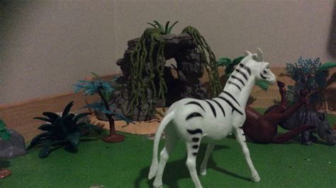 Zebra vs Horse - YouTube