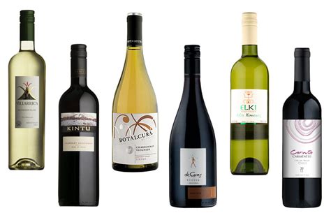 Wines of Chile – Direct Wine Shipments