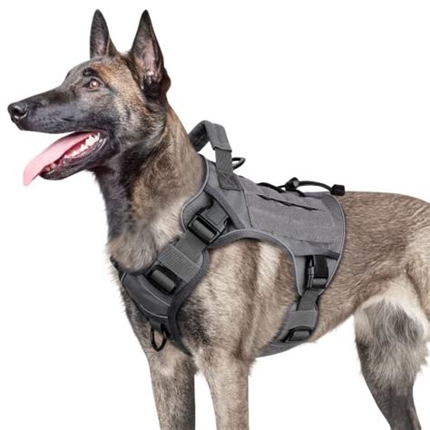 Finding the Best German Shepherd Service Dog Vests for Maximum Comfort