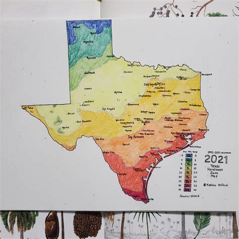 My New Hardiness Zone Map of Texas (Handmade) - WEATHER / CLIMATE - PalmTalk