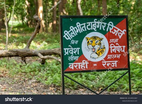 Pilibhit Tiger Reserve Uttar Pradesh India Stock Photo 2214951467 ...