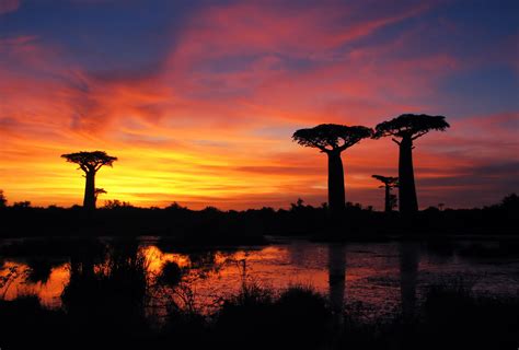 #Sonnenuntergang auf #Madagaskar #Sunset, #Madagascar © Bernard Gagnon | Places to go, Sunset ...