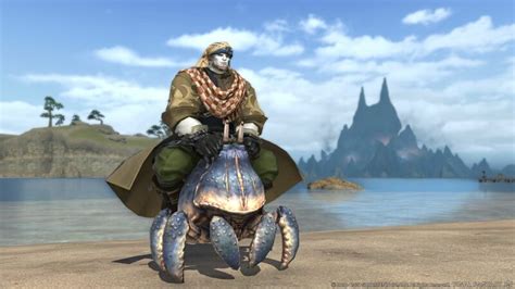 Big Shell - Final Fantasy XIV Online Wiki - FFXIV / FF14 Online Community Wiki and Guide