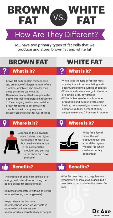 Brown Fat Benefits and How to Increase - Dr. Axe