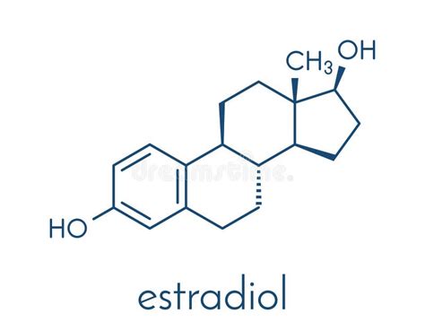 Estradiol Estrógenos Hembra Hormona Sexual Molécula. Fórmula ...