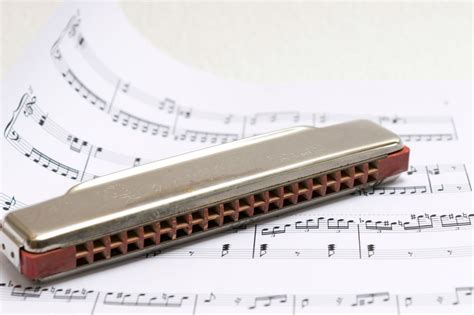 Professional Tips on Harmonica vs Melodica | Best Harmonica