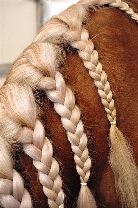 30 Amazing Horse Tail Braids Ideas to make Your Friends Jealous - Tail ...