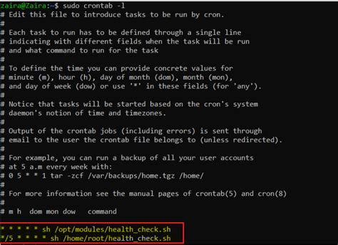 Shell Scripting for Beginners – How to Write Bash Scripts in Linux