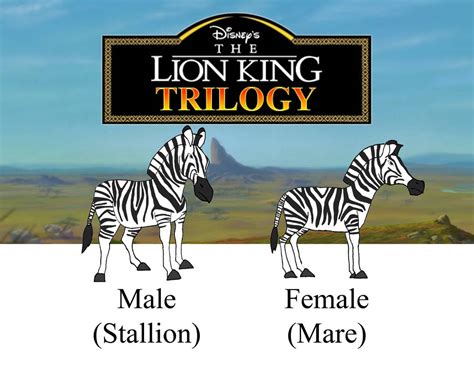 The Lion King Trilogy | Plains Zebra Reference by 1200924 on DeviantArt