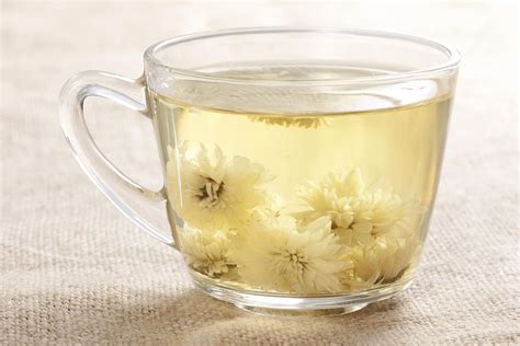 Chrysanthemum Tea