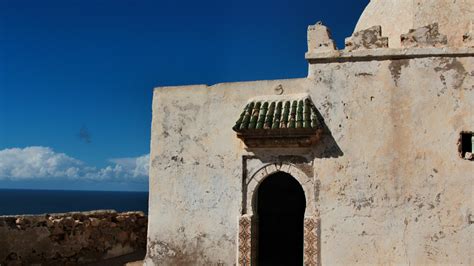 Morocco’s Mystic Marabouts - Trufflepig