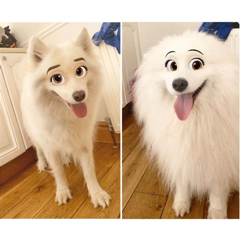 Snapchat's New "Disney" Filter Turns Your Pets Into Pixar Characters