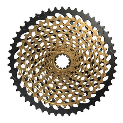 SRAM XX1 Eagle & SRAM X01 Eagle 1x12 Drivetrains - Rider First Bike ...