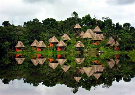 Yasuni-National-Park-Ecuador | Amazon rainforest, Ecuador travel, Ecuador