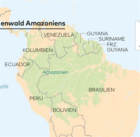 Amazonas: Wem gehört der Regenwald? - WELT