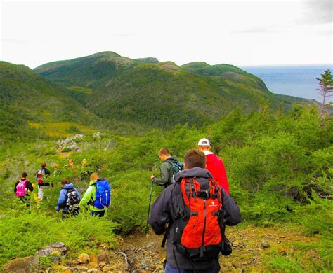 Gros Morne Group Hikes | Guided Hiking Gros Morne