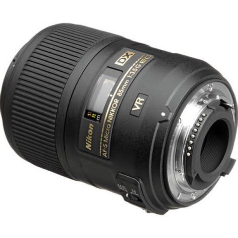 Top 6 Macro Lenses for Macro Photography