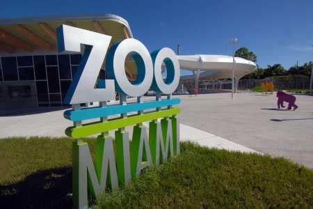 Zoo Miami offers $10 Mondays - Miami on the Cheap