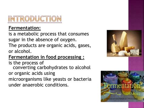 Fermentation of cheese (1)