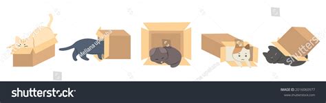 5,756 Cat Hiding In A Box Images, Stock Photos & Vectors | Shutterstock