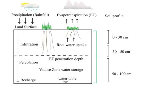 (a) Conceptual figure for water partitioning at the soil vadose zone ...