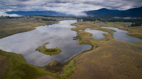 Montana Fish, Wildlife & Parks - Grizzly bear conservation and protection