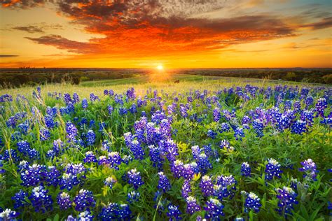 Where To See The Most Beautiful Sunsets In Texas