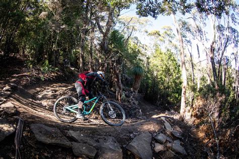 TESTED: Marin Alpine Trail 8 - Australian Mountain Bike | The home for Australian Mountain Bikes