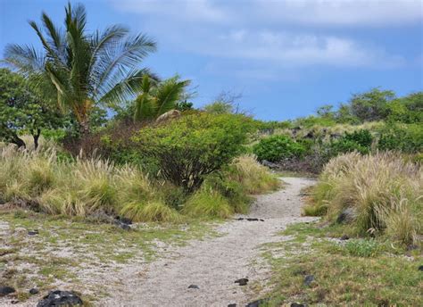 Pawai Bay, Kailua-Kona - Hawaii Beaches