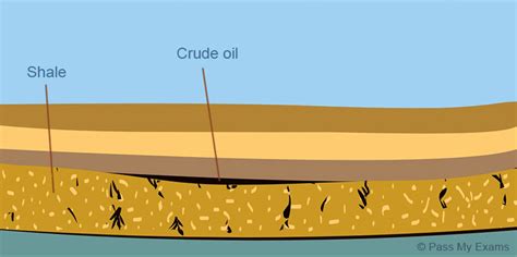 Crude Oil: Crude Oil Formation