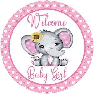 Welcome Baby Girl Sign, Baby Girl Sign, Birth Announcement, Baby ...
