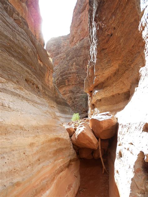 South Canyon Grand Canyon National Park Rafting – National Parks Blog