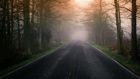 road, Trees HD Wallpapers / Desktop and Mobile Images & Photos