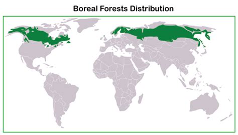 Types of Forest | Online Tutorials Library List | Tutoraspire.com