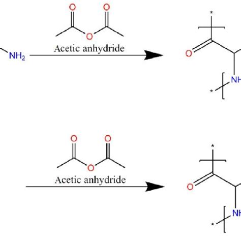 Putative reaction of lysine and arginine residues with acetic anhydride ...